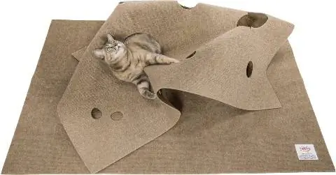 SnugglyCat Ripple Rug Katzen-Aktivitäts-Spielmatte