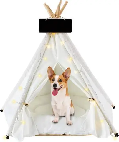 ECO-ዊል ጴጥ Teepee