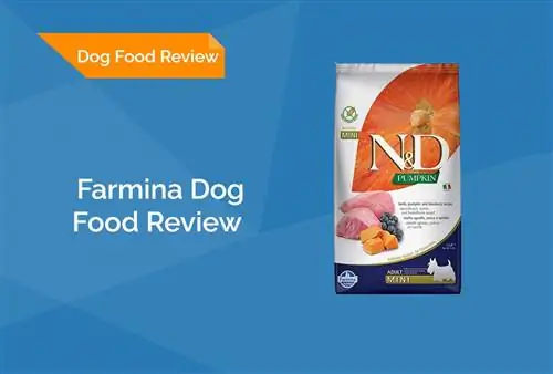 Farmina Dog Food Review 2023: Mga Recall, Mga Kalamangan & Cons