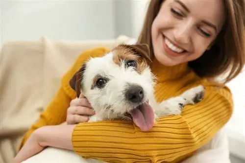 Nasjonal hundemorsdag: Når det er & Slik feires det