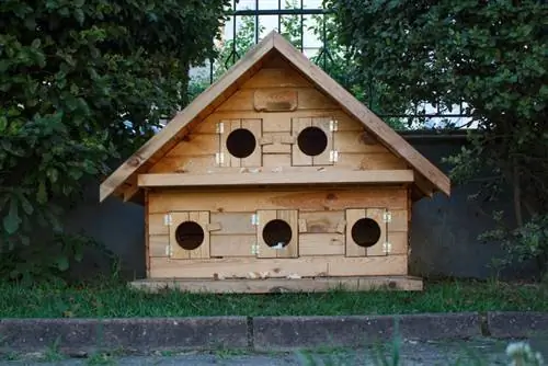 Abrigo para gatos dentro de um parque público