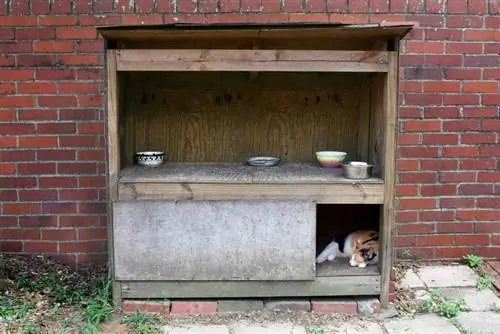 Abrigo para gatos de rua com tigelas de comida no topo