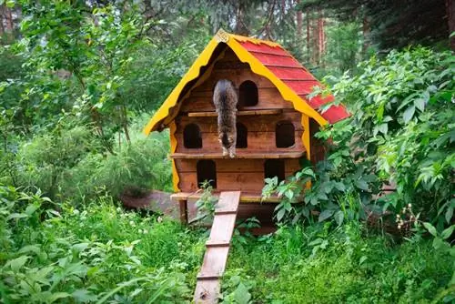 abri pour chat, sur le sol dans le jardin