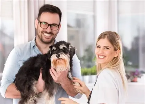 crescător și proprietar ținând în mână câinele schnauzer miniatural