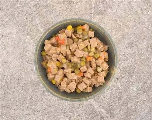 ¿La comida para perros con cordero es buena para los perros? Comida para perros explicada