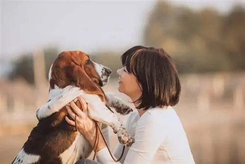 giovane donna che gioca con il suo cane basset hound