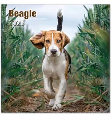 2023 Beagle-kalender