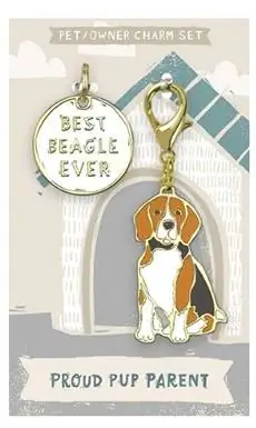 Beagle-Charme