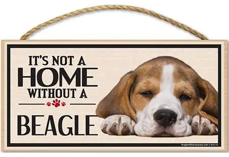 Ohne Beagle-Schild ist es kein Zuhause