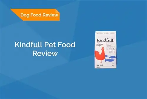 Kindfull Pet Food Review 2023. Հիշում է, կողմ & Դեմ