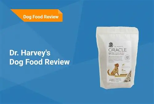 Dr. Harvey’s Dog Food Review 2023: Recalls, Pros & Contra