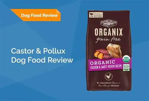 Castor & Pollux Organix Dog Food Review 2023. Հիշում է, կողմ & Դեմ