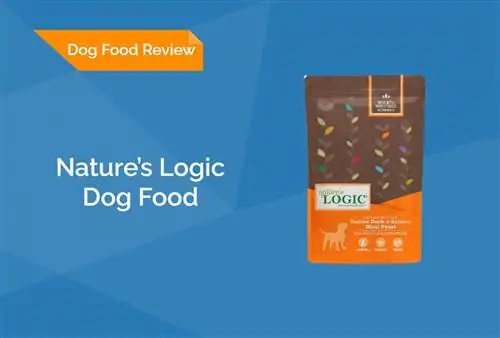 Revisión de alimentos para perros de Nature's Logic 2023: retiros del mercado, pros & Contras