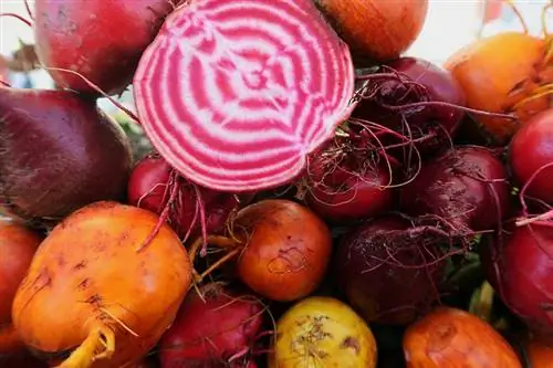 Beets