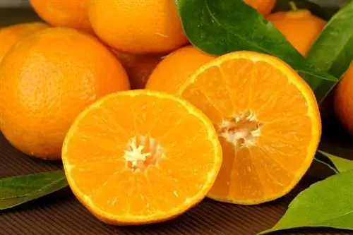 Des oranges