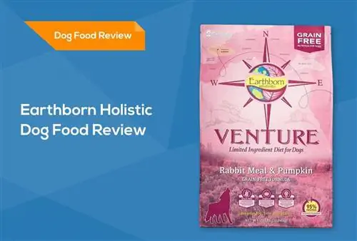 Earthborn Holistic Dog Food Review 2023: Recalls, Pros & Cons