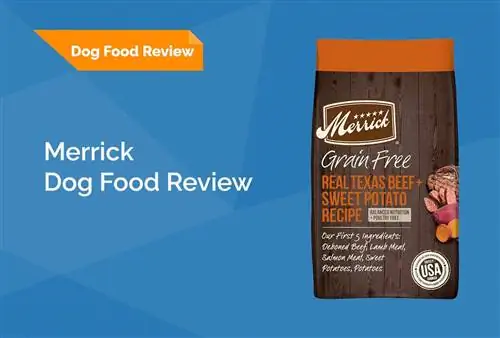 Merrick Dog Food Review 2023: Återkallelser, fördelar & Nackdelar