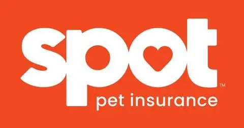 Spot Pet Insurance