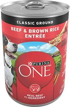 Purina ONE SmartBlend