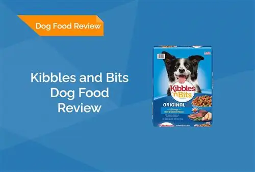 Kibbles and Bits Hundefutter-Rezension 2023: Rückrufe, Vorteile & Nachteile