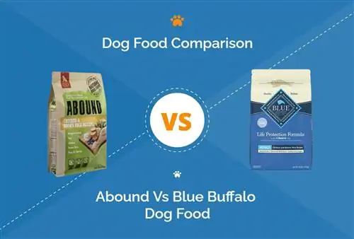 Abound vs Blue Buffalo Dog Food: Naše hĺbkové porovnanie za rok 2023