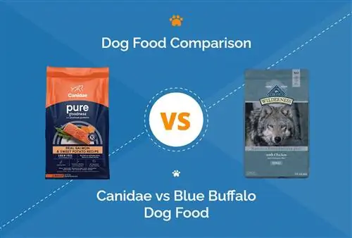 Nourriture pour chiens canidés vs Blue Buffalo : notre comparaison approfondie de 2023