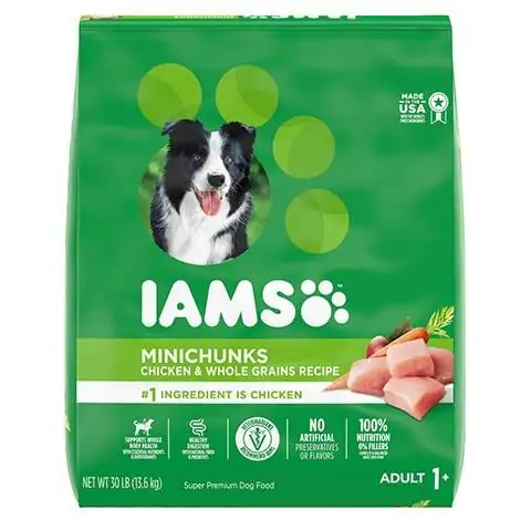 Iams Adult MiniChunks High Protein Dry Food