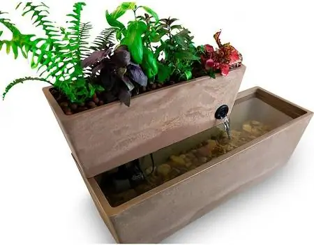 AquaSprouts Fountain Aquaponics ekosistēmas komplekts