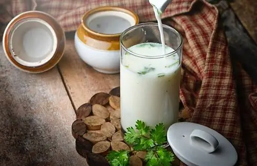 Eine Buttermilch wird in ein klares Glas gegossen