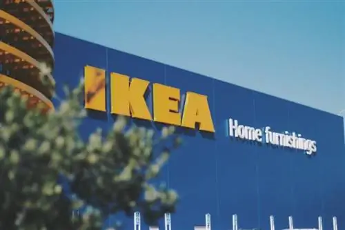 Tillåter IKEA hundar? (2023 Uppdatering)