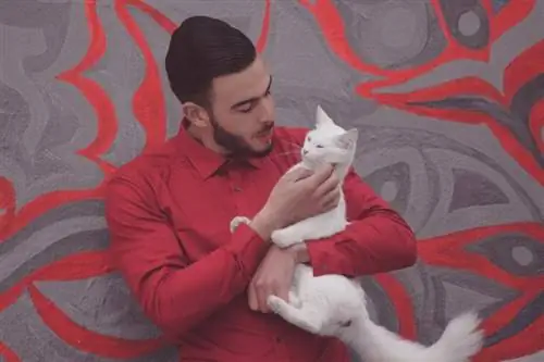 dono de gato conversando com seu animal de estimação