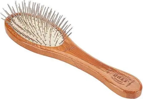 Brosse ovale style et démêlage Bass Brushes