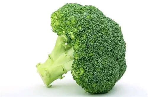 broccoli