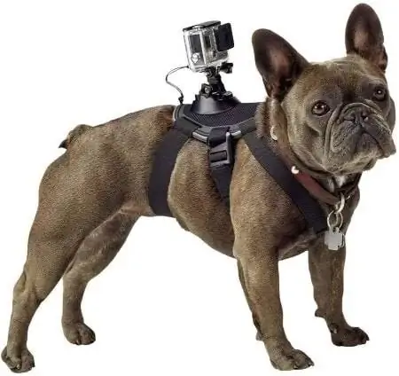 GoPro Fetch жабдыктары