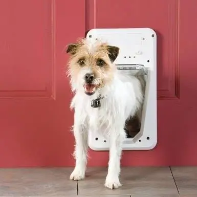 PetSafe ประตูอัจฉริยะอิเล็กทรอนิกส์