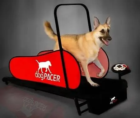 dogPACER толук өлчөмдөгү чуркоо жолу