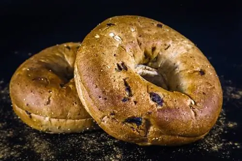 Kunnen honden bagels eten? (Onze dierenarts legt uit)