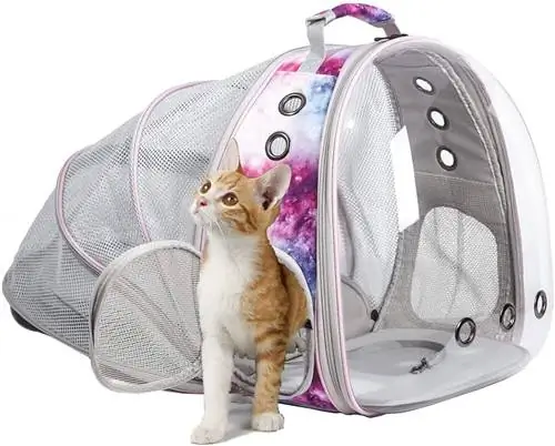 Halinfer Back Expansible Cat Backpack Carrier