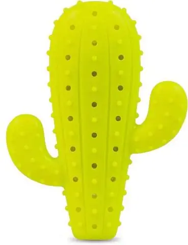 Pet Craft Supply Cactus Chew Toy