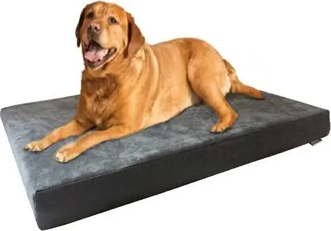 Кровать для собак DogBed4Less Ultimate с эффектом памяти