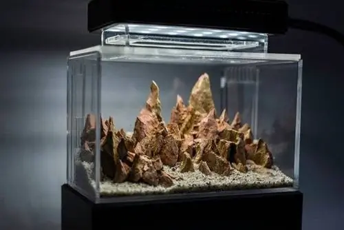 Acrylaquarium