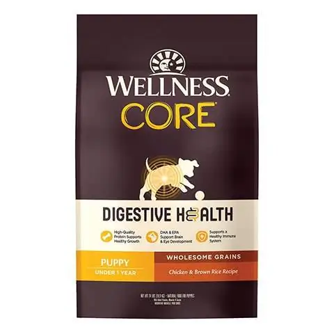 Wellness Core สุขภาพทางเดินอาหารลูกสุนัข