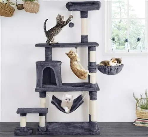 Yaheetech 61,5 polegadas cat tree_Chewy