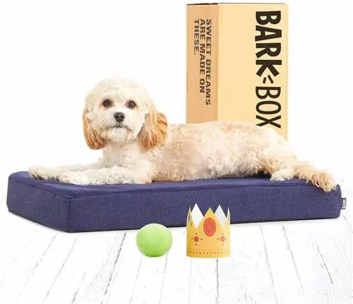 BarkBox