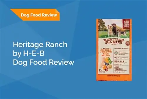 Heritage Ranch, H-E-B Dog Food Review 2023: Visszahívások, előnyök & Hátrányok