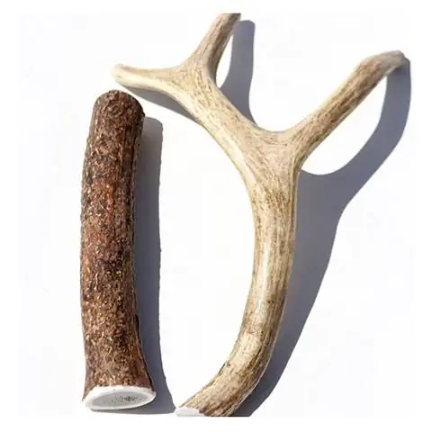 Elk and Deer Antler Dog Chews 7-10 Sampler Kubwa (Pack 2) Eco-Friendly Natural Chew Chews Aggressive Chewers USA Made