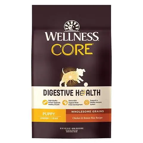 Wellness CORE Digestive He alth Valp