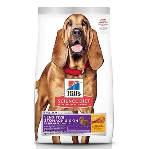 Hill's Science Diet Adult Sensitive Stomach & Skin Large Breed Chicken Barley Recipe Cibo secco per cani