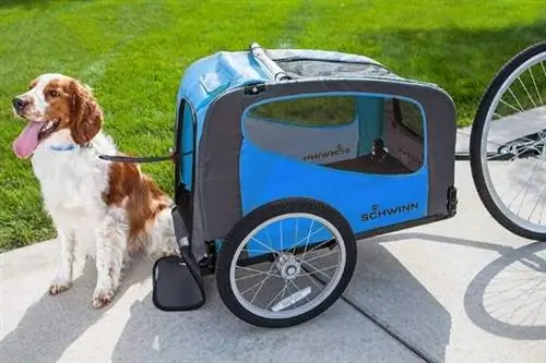 Dog Bike Trailer