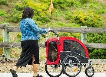 8 Pinakamahusay na Dog Bike Trailer noong 2023 – Mga Review & Mga Nangungunang Pinili